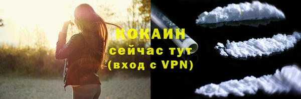 a pvp Няндома