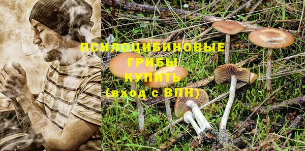 дурь Балахна