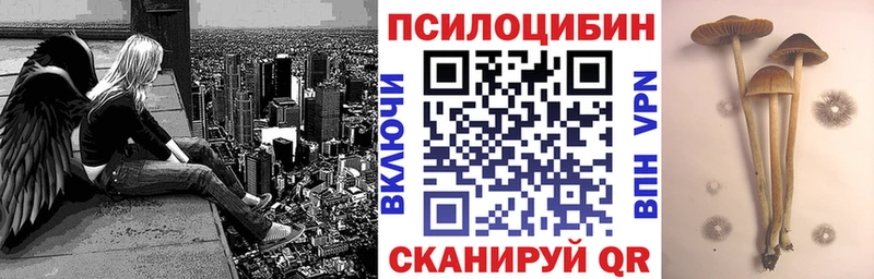закладки  Пестово  Псилоцибиновые грибы GOLDEN TEACHER 